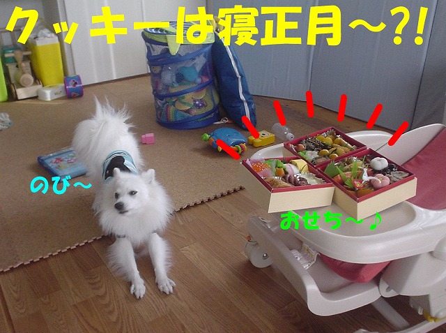 img20080331.jpg