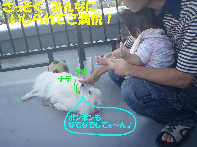 img20091201_4.jpg