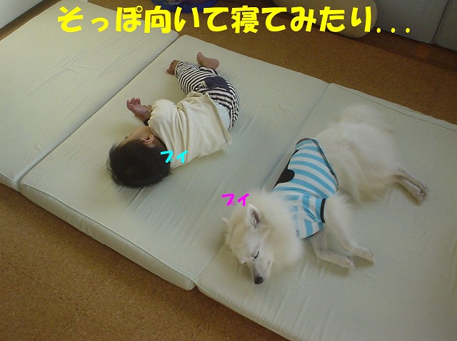 img20080331.jpg