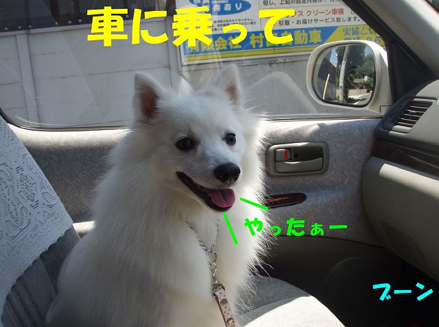img20090801_1.jpg