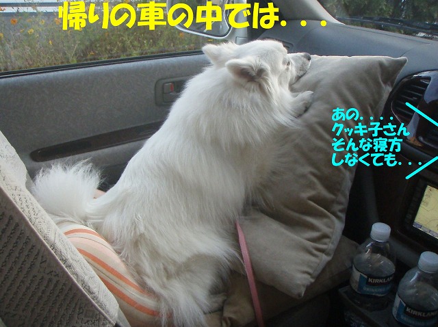 img20091201.jpg