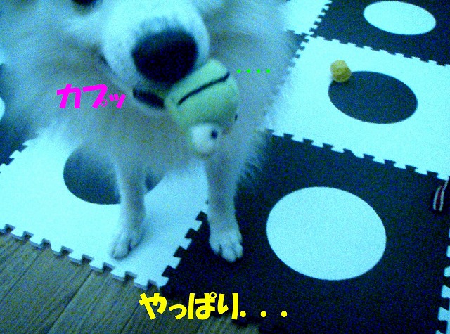 img20080713_4.jpg