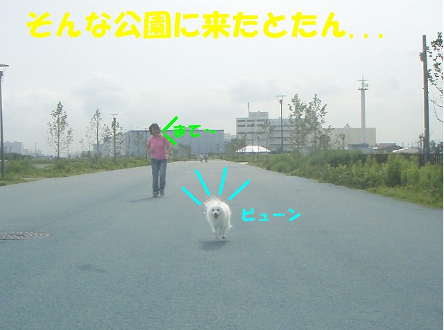 img20080630_7.jpg