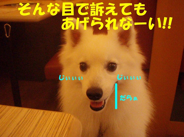 img20090724_5.jpg