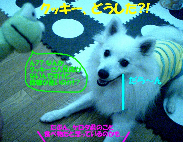 img20080713_2.jpg