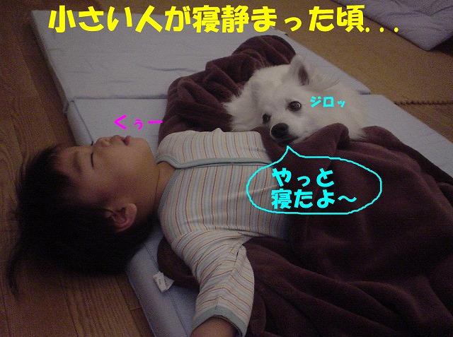 img20080316.jpg
