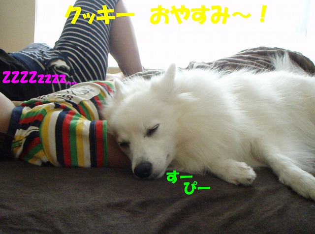 img20091108_6.jpg