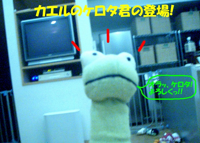 img20080713.jpg