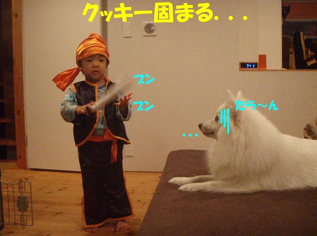 img20091108_1.jpg