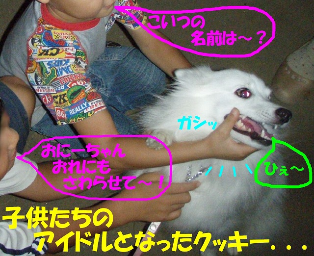 img20091108_3.jpg