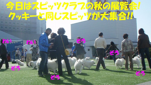img20091108.jpg