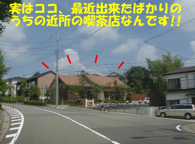img20080527.jpg