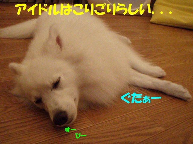 img20091108_5.jpg