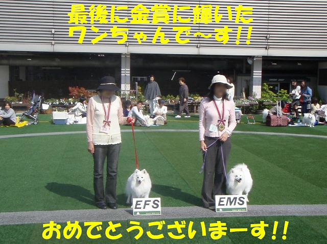 img20080508_8.jpg