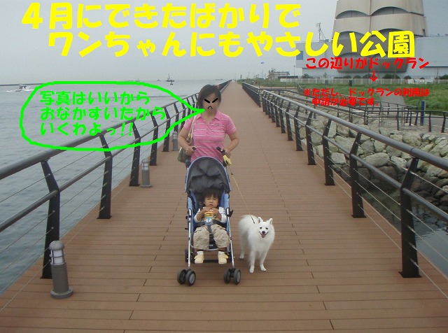 img20080630_8.jpg