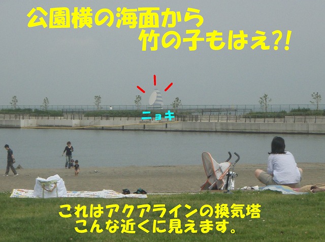 img20080630_4.jpg