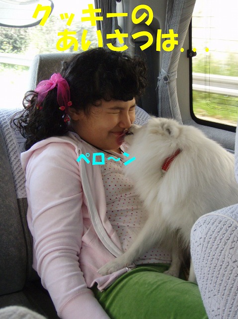 img20080508_2.jpg