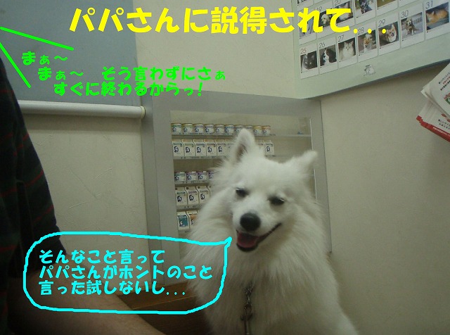 img20080527_4.jpg