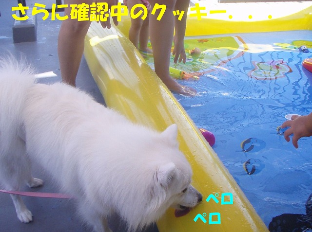 img20080927_2.jpg