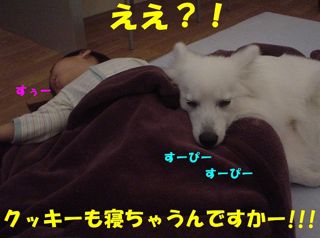 img20080316_3.jpg