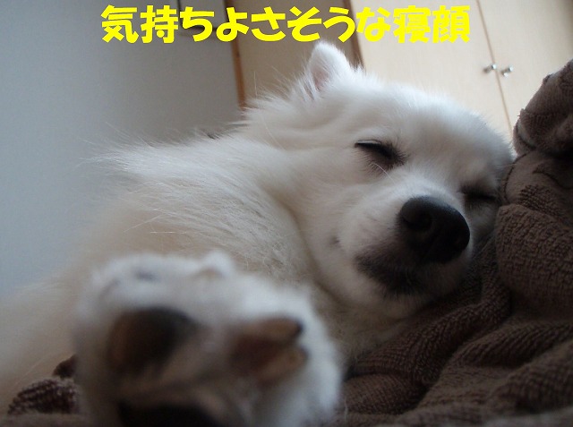 img20091108_8.jpg