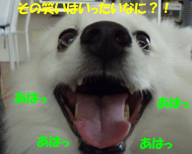 img20091108_4.jpg