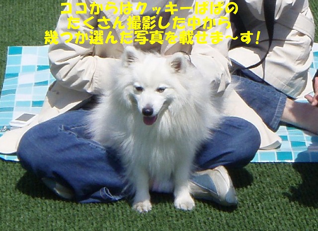 img20080508.jpg