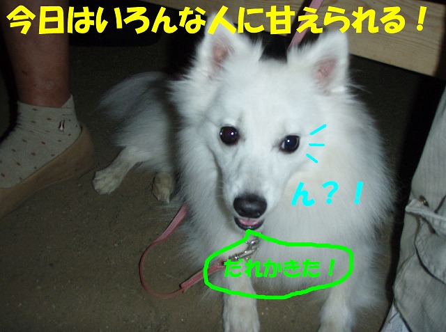 img20091108_2.jpg