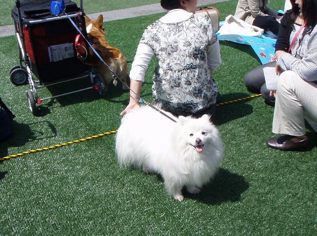 img20080508_7.jpg