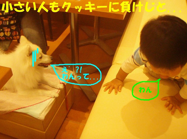 img20080630_9.jpg