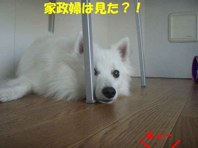 img20080927.jpg