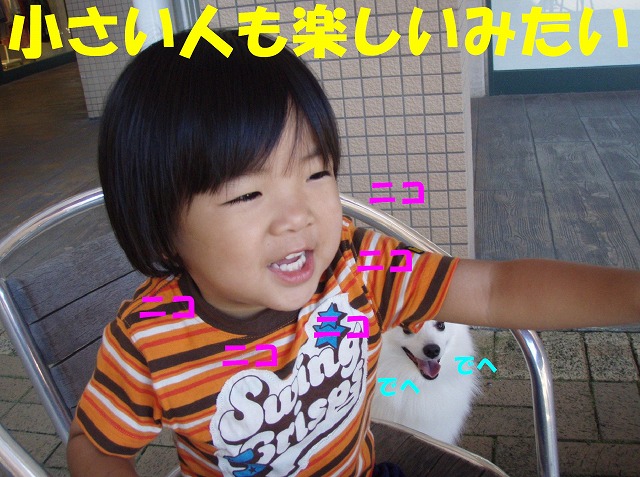 img20090801_6.jpg