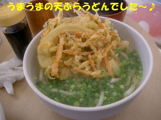 img20080206_4.jpg