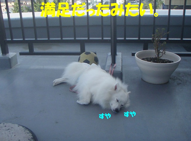 img20091201_5.jpg