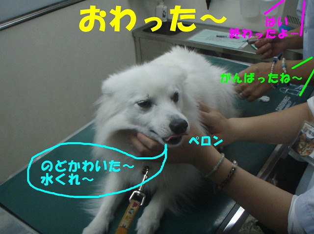 img20080527_7.jpg