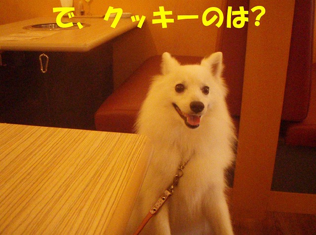 img20090724_4.jpg