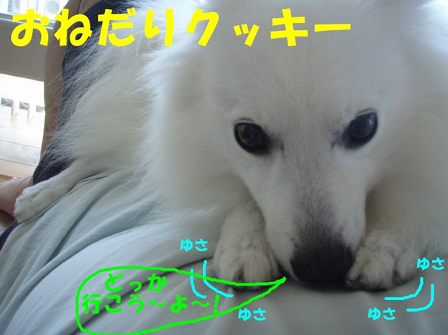 img20090801.jpg