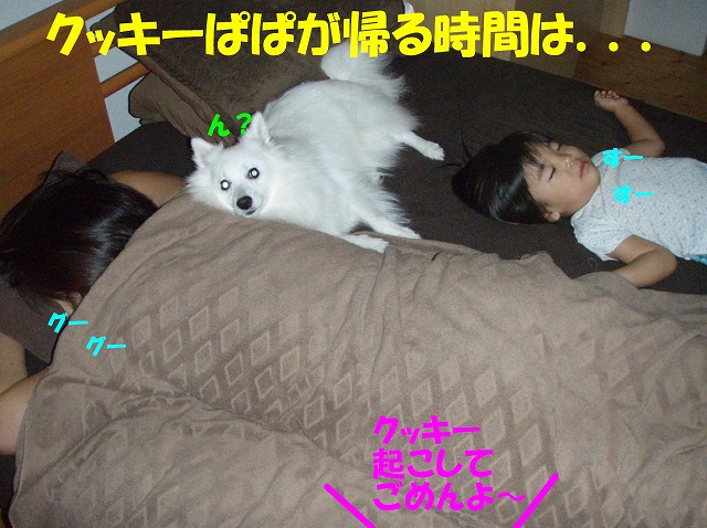 img20091108.jpg