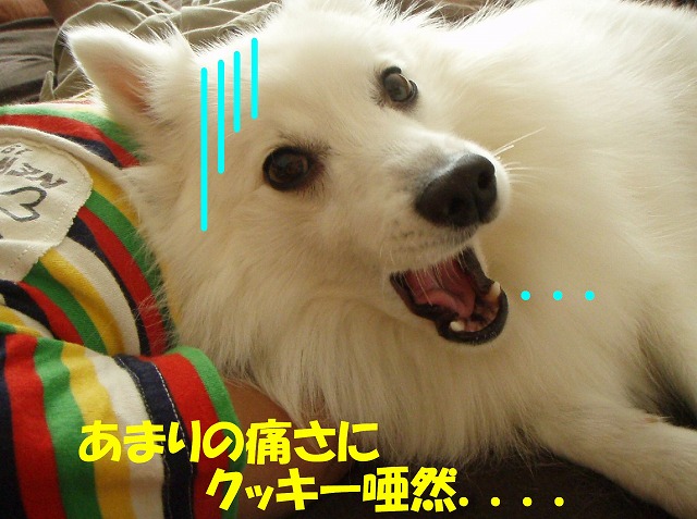 img20091108_3.jpg