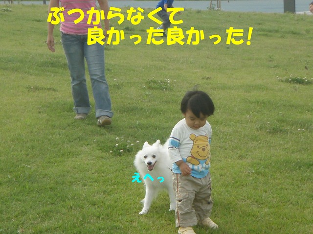 img20080630_7.jpg