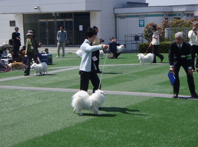 img20080508_4.jpg