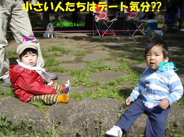 img20080508_2.jpg