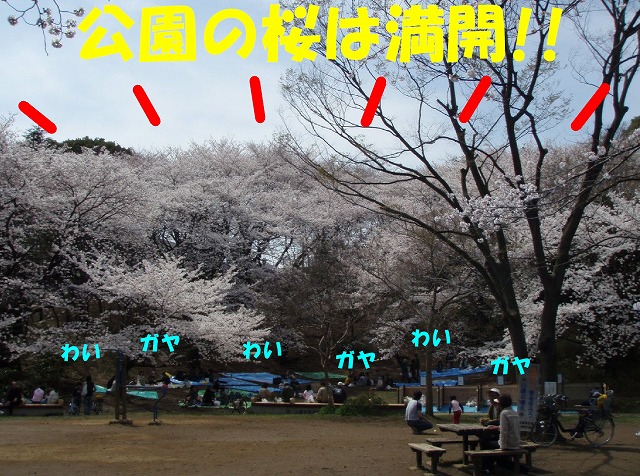 img20080401_2.jpg