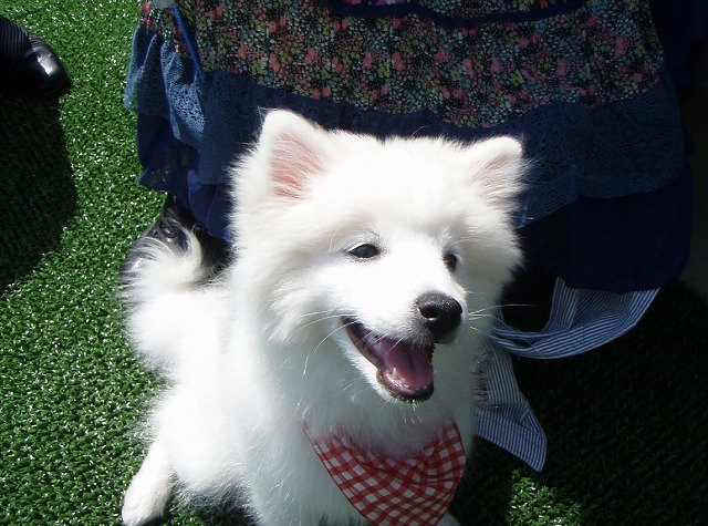 img20080508_2.jpg