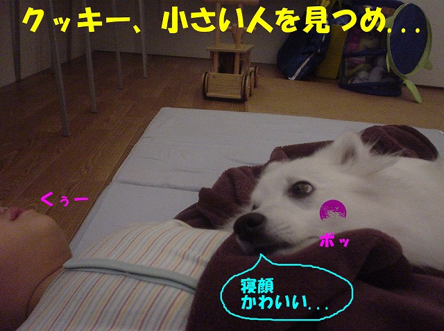 img20080316_2.jpg