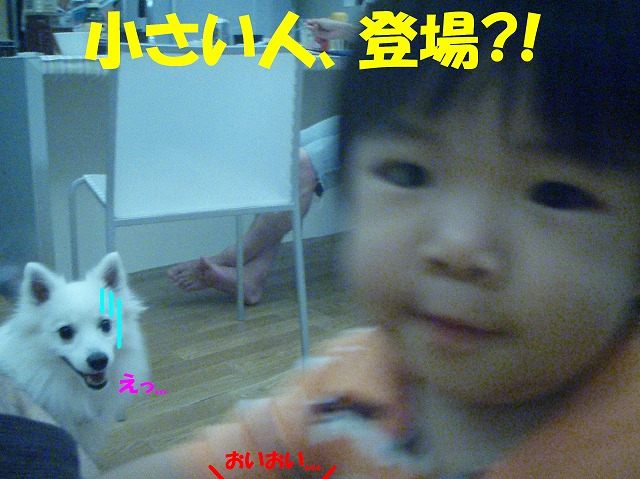 img20080713_2.jpg