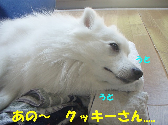 img20090724_2.jpg