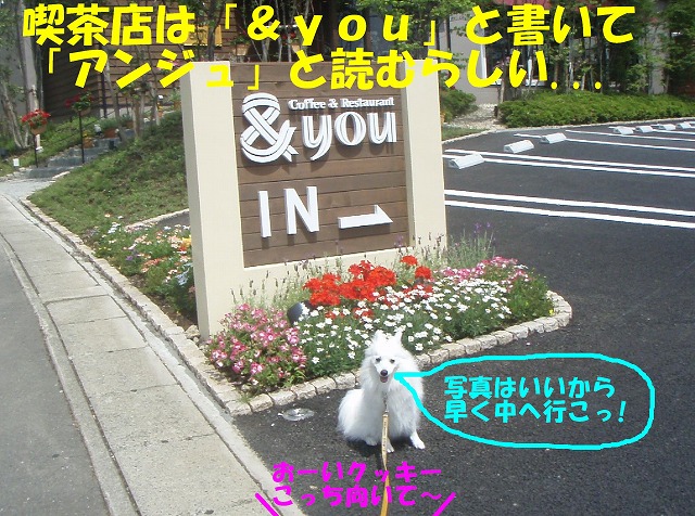 img20080527_1.jpg