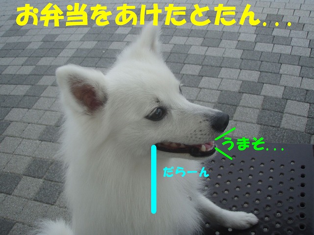 img20080630_4.jpg
