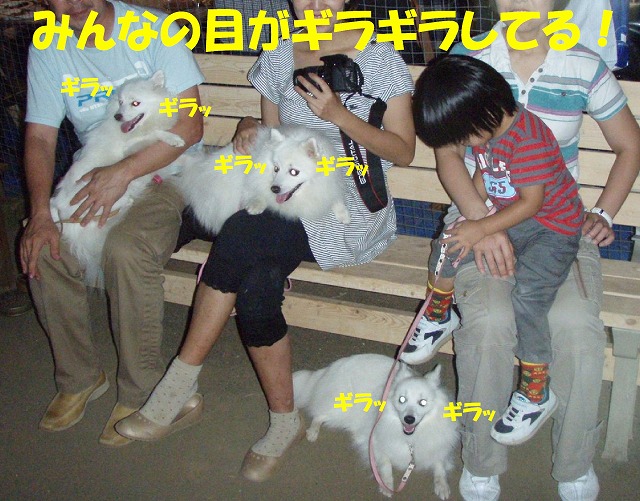 img20091108_1.jpg